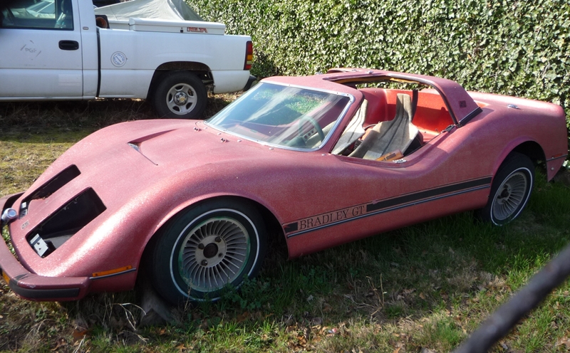 1975-Bradley-GT http://www.ebay.com/itm/1975-Bradley-GT-Build-Your-Own-Sports-Car ...