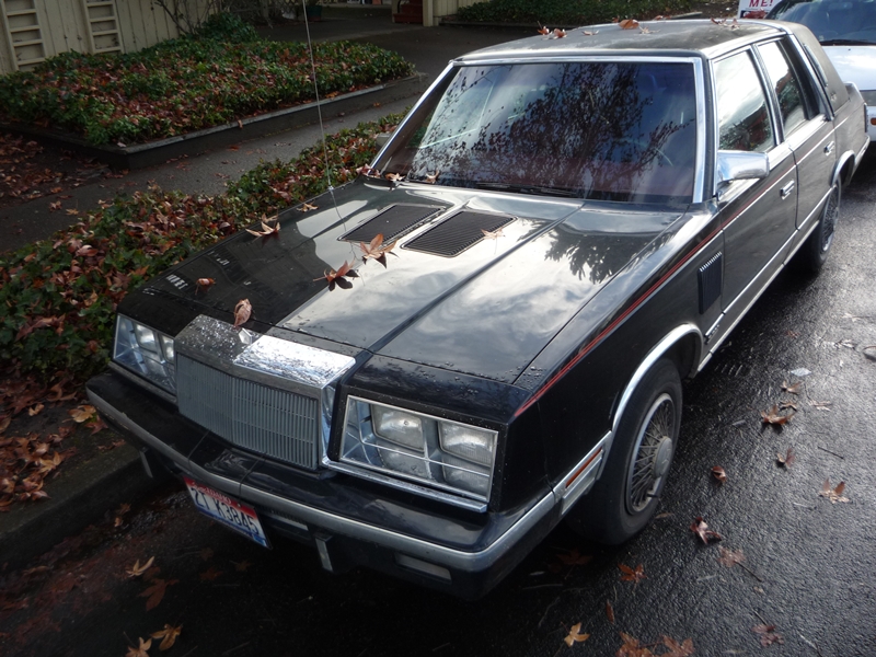Chrysler lebaron turbo hood vents #4