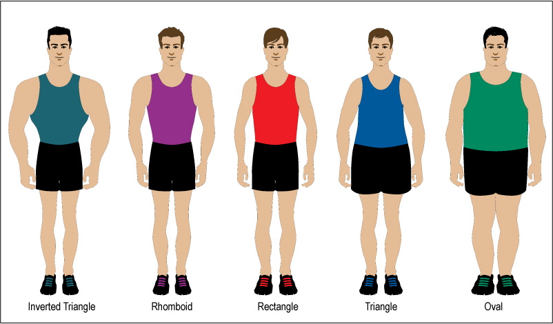 perfect body shape size for men