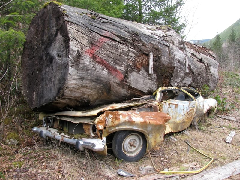 The Well Wrapped Car was a big hit, so now we have the sequel, The Well Flattened Car. I don’t think I have to tell you what you’re supposed to [&hellip;]