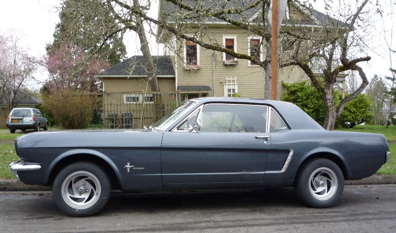 Freedom. Does any other word better sum up the aspirations of the sixties? And does any other image convey it better than a wild mustang running free? The symbols of [&hellip;]