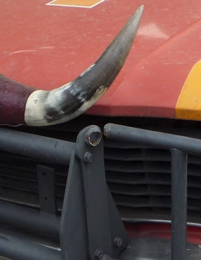 CC Clue: Horny CC Master Sleuth Tom Klockau got another one, the very cheese-graterish grille of the ’69 Fury. Let’s try on some horns.