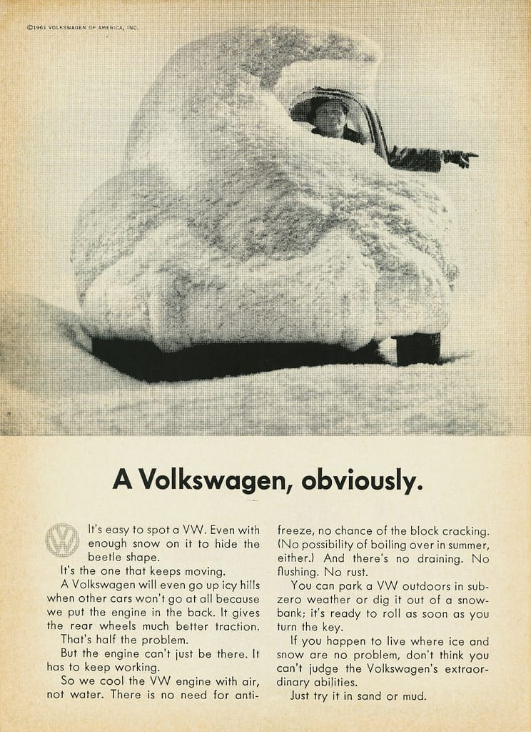 beetle in snow