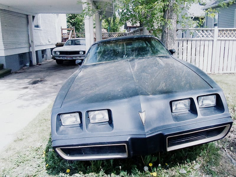 The fact that old cars tend to gather together is well proven but I was a little surprised to come across so many classic F-bodies at one house in the [&hellip;]