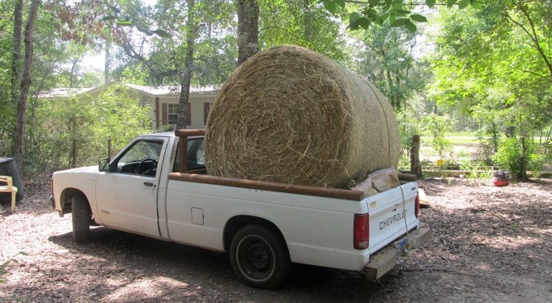 We have seen posts on CC recently that have told us that we don’t need any modern full size pickups and another that questioned where the regular cab pickups had [&hellip;]