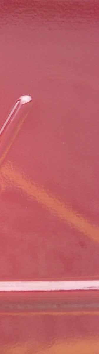 Yesterday’s clue was correctly guessed by CJinSD in about eleven minutes.  But then the clue photo was very generous.  Today we will go in for a tighter close-up. We have [&hellip;]