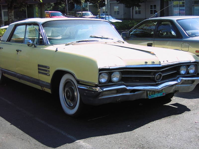 Buick Electra Cat 64 grille