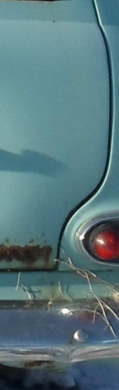 Who can id this vertical smile?