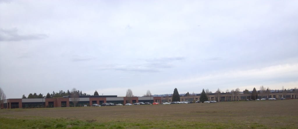 On Tom’s Pleasant Toyota Sunday we saw one car which instantly stood out from the rest. Can you spot it here, under this grey late-afternoon overcast? I think you can.