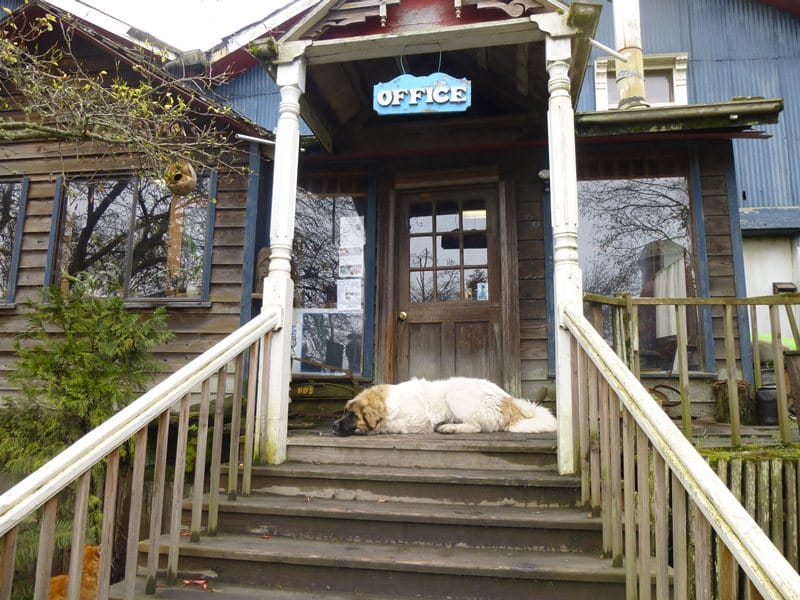 Our recent trip up the coast of Northern California wouldn’t have been complete with a stop to see Eric Hollenbeck at his Blue Ox Millworks, Historic Park and School Of [&hellip;]