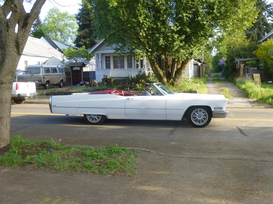 Our neighborhood is blessed with alleys, although almost all houses in it have driveways from the street. Some are overgrown (but still walkable), others kept open for cars, because there [&hellip;]