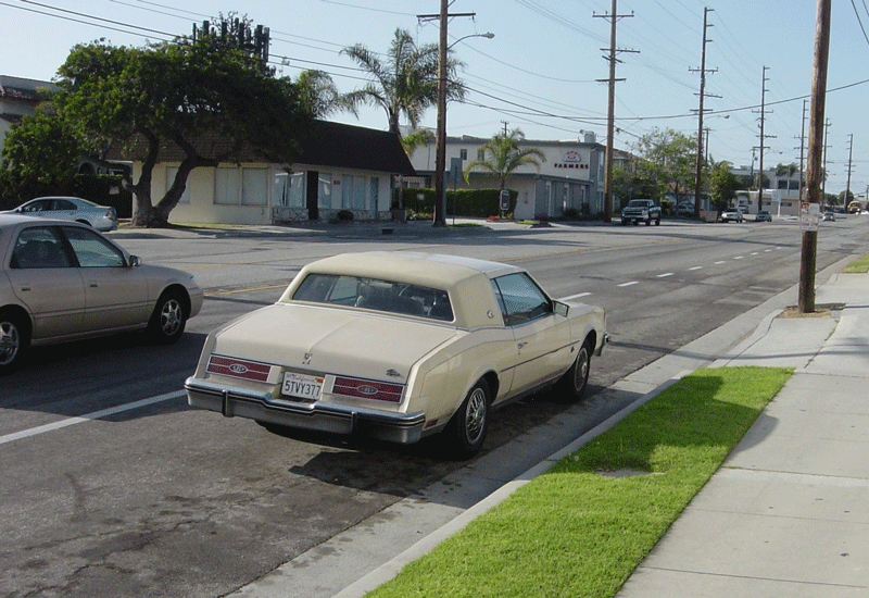Curbside Classic: 1985 Buick Riviera - A Ray of Light in the Darkness 2 DSC00135