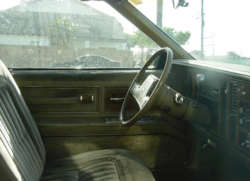 Curbside Classic: 1985 Buick Riviera - A Ray of Light in the Darkness 6 DSC00145