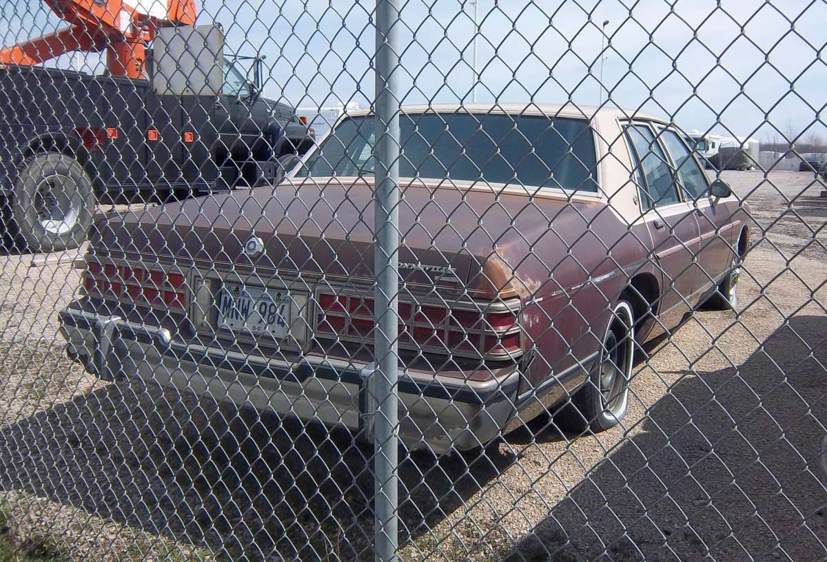 If you’ve been reading CC for a while, you probably know that I absolutely love the 1977-86 B-body Pontiacs. Catalina, Bonneville, Grand Safari, Parisienne–I like ’em all. But I especially [&hellip;]