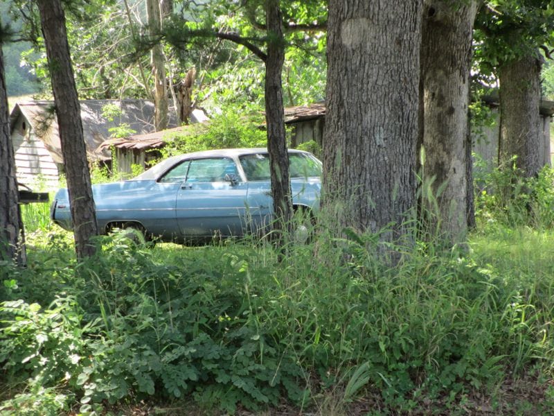 When Tom emailed recently proposing Mopar week, I thought it was a terrific idea.  But then worry struck as I thought I may not have much to contribute. I tend [&hellip;]