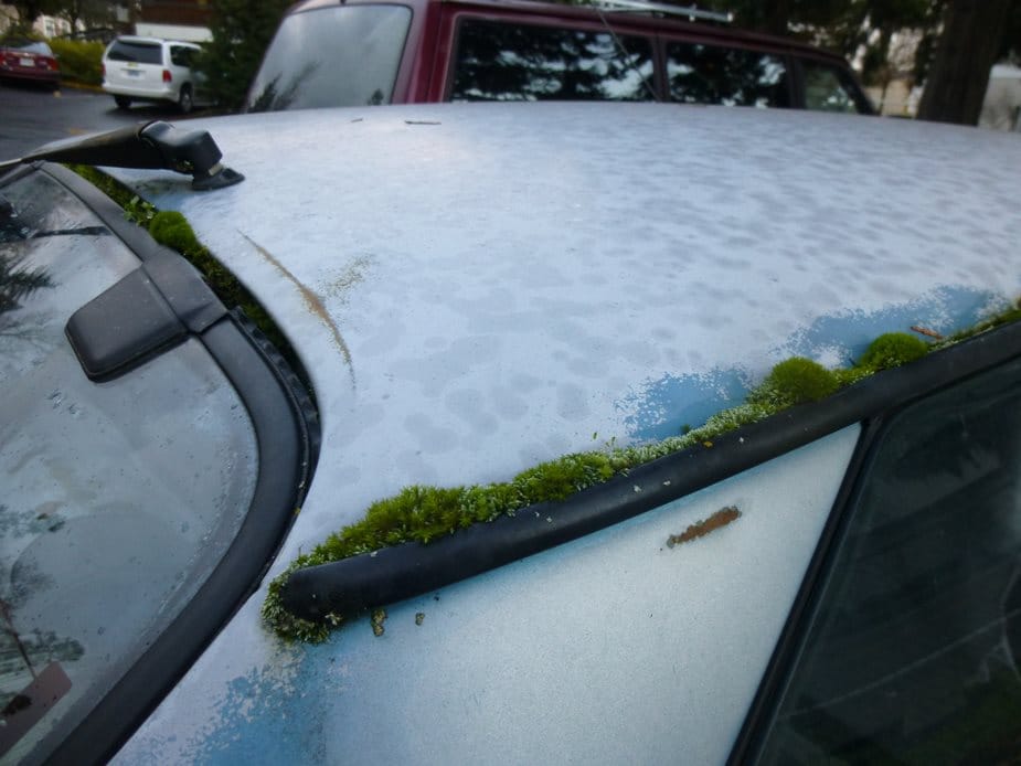 Curbside Classic: 1979 - 1982 Toyota Tercel - Toyota Nails Another One 12 CC 185 103 925