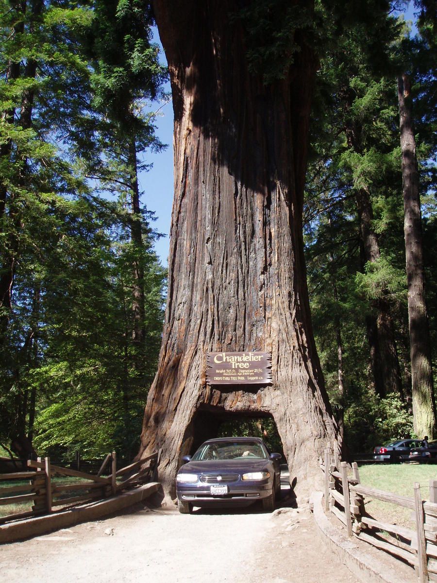 (First Posted November 3, 2013)  It’s weird. I very much consider myself a Ford man when it comes to the domestics,  yet my buying history puts me fairly firmly in [&hellip;]