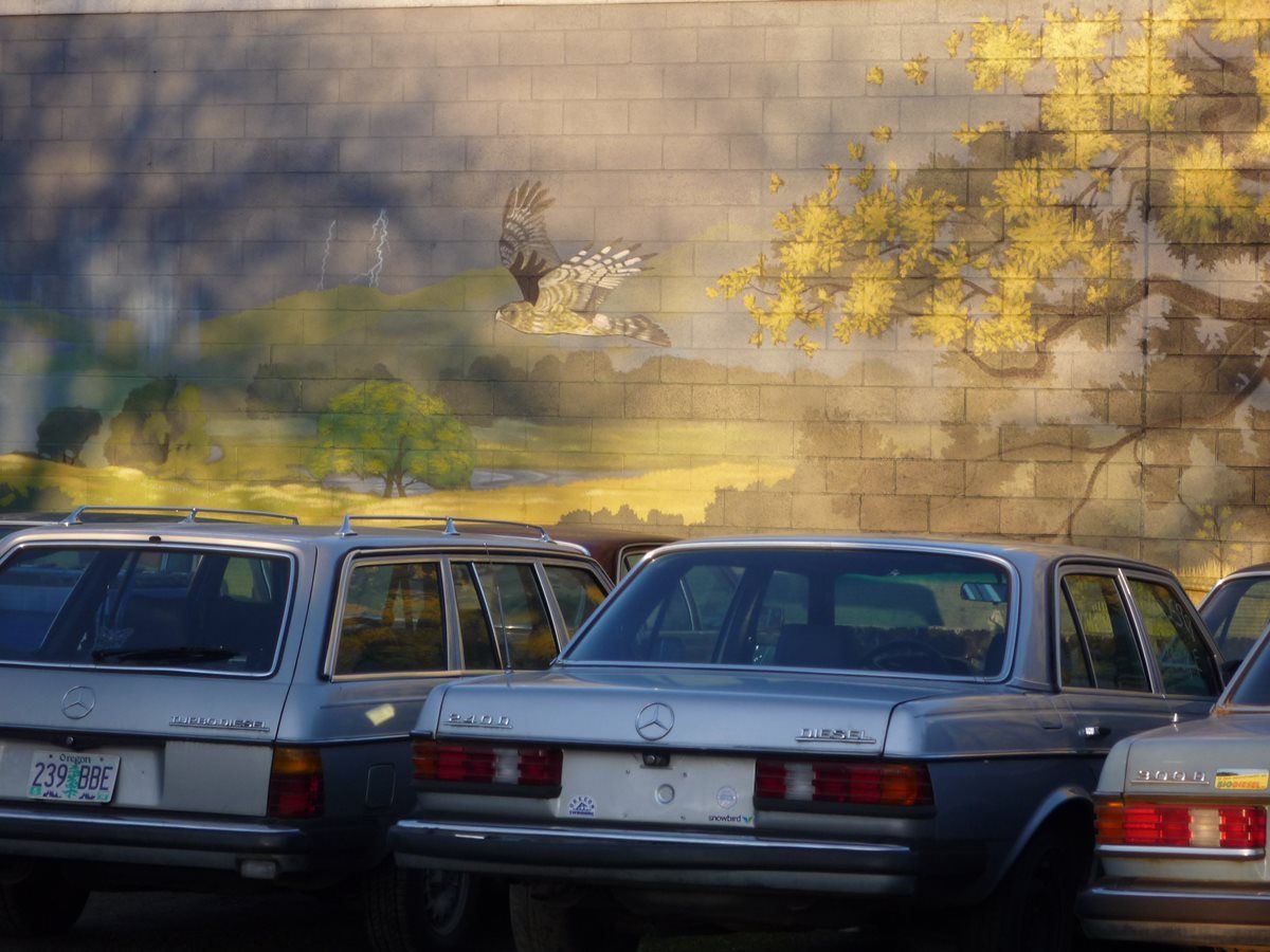 The height of the W123 Bio-Diesel boom here was a few years back; it’s subsided since then, undoubtedly for the very reasons that Perry has laid out in his CC [&hellip;]