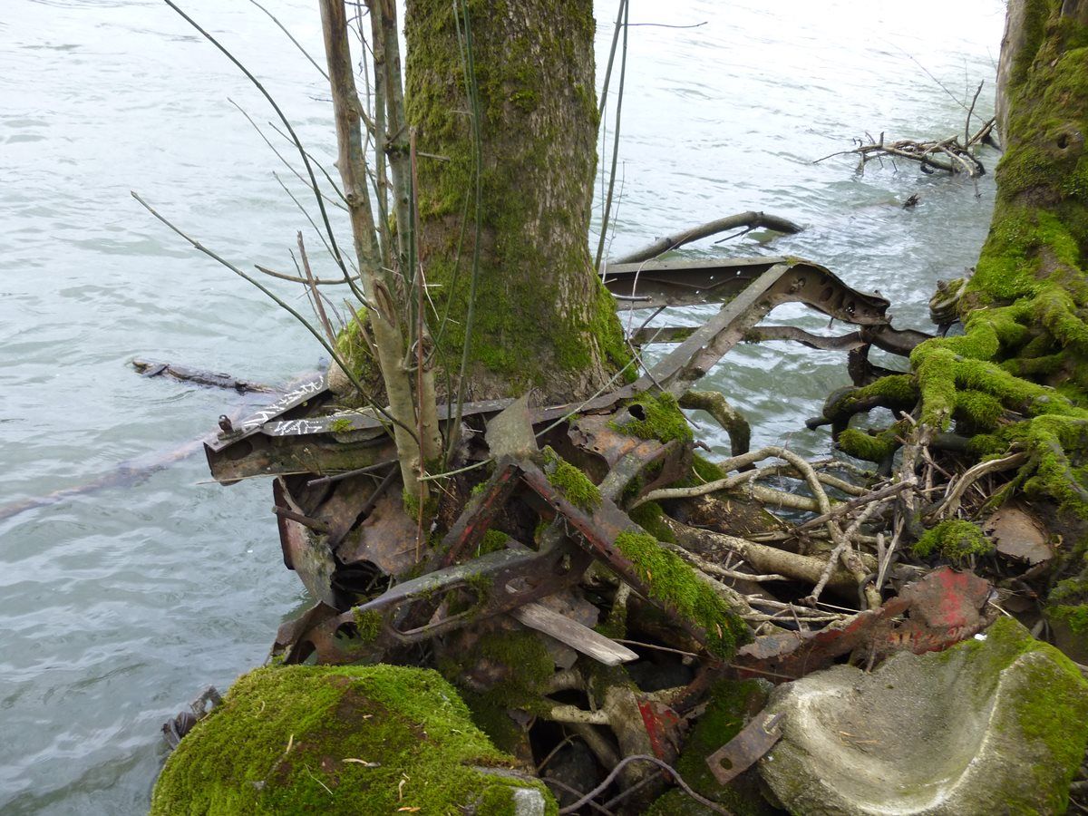 Walking along the bike path in Skinner Butte Park, right near downtown Eugene, I wanted to get a closer look at the water level after some recent rains, and noticed [&hellip;]