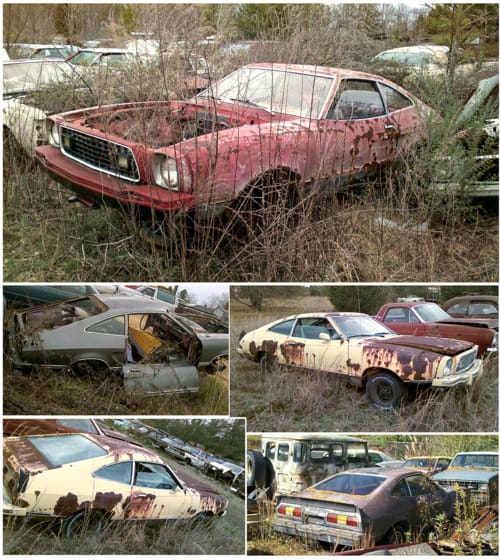 Curbside Classic: 1974 Mustang Mach 1 - The Soul Survivor 4 Carspotting Auto Archeology