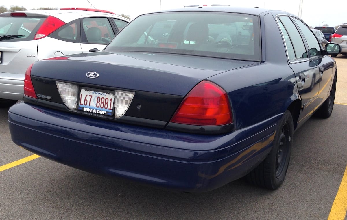 Wordless Outtake: Panther Recycling Note the license plate frame…