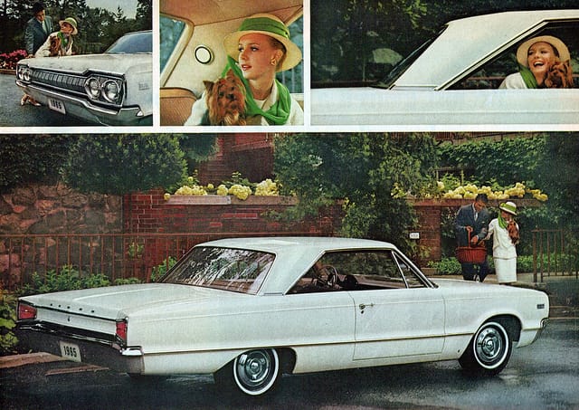 65Polara