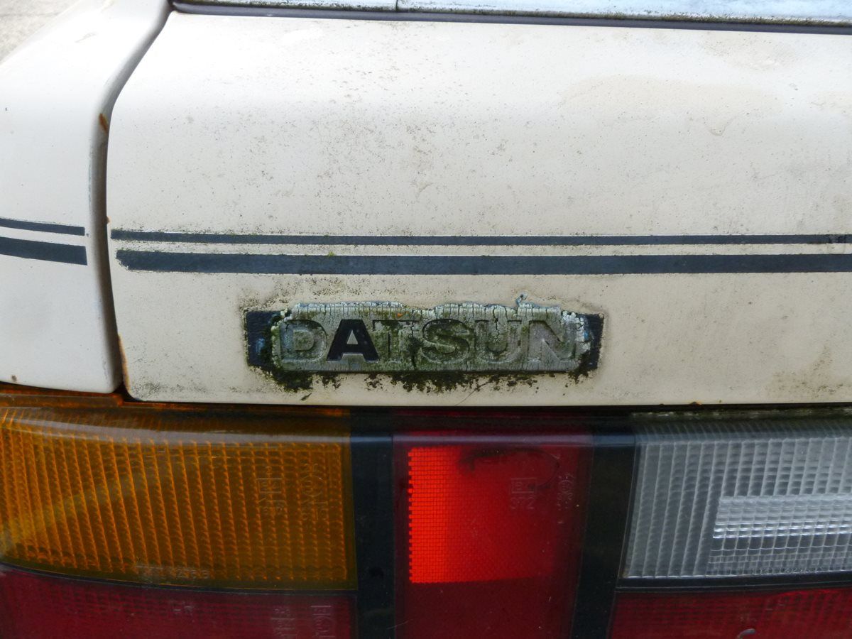 1982 Nissan Stanza: Queen Dork -- A Car That Embraced Its Inner Nerd 7 CC 155 021 1200