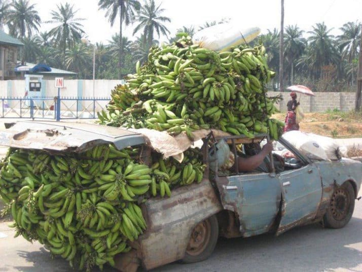 Picture: Facebook/Bruce David Kellock‎/‎Africa, this is why I live here (Updated 9/8/2026)     Stephanie loves the photo galleries at the Telegraph.co.uk site. She forwards some of them to me, and [&hellip;]