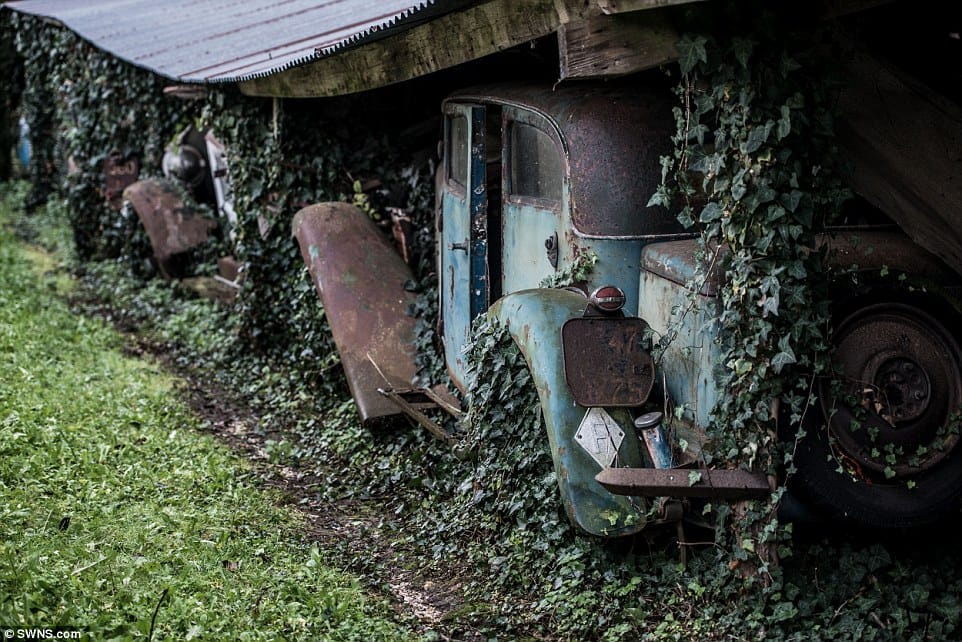 Sixty Classics Stashed Away In Grandpa's Farm Sheds To Be Auctioned 7 BF 7