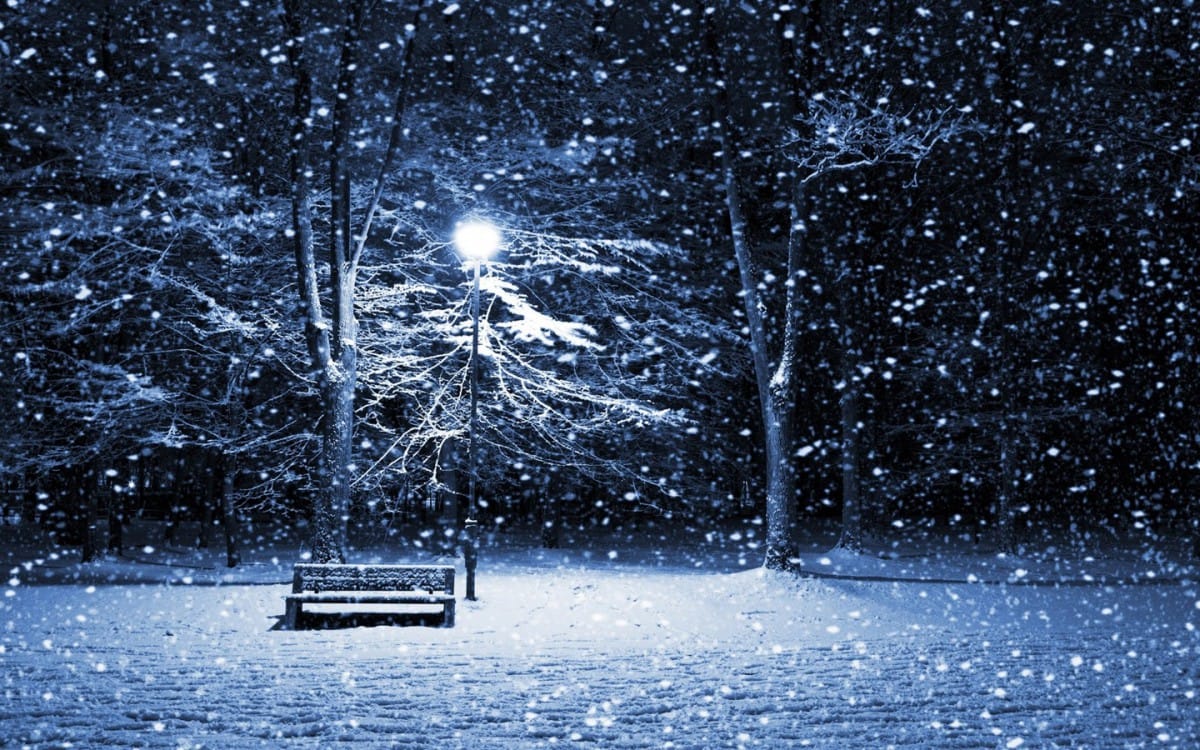 It was a chilly mid-December night in 1984. The tree had been trimmed, the stockings had been hung, and Robert and Monique Hamilton were on their way home from Robert’s office Christmas party [&hellip;]