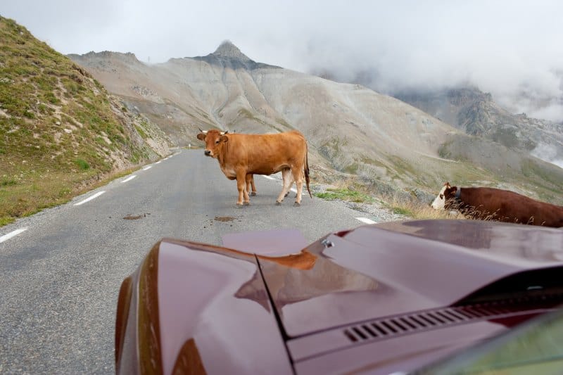 CC Video: An Alpine Road Trip In A Vintage Big Block Corvette 3 YR8A1199