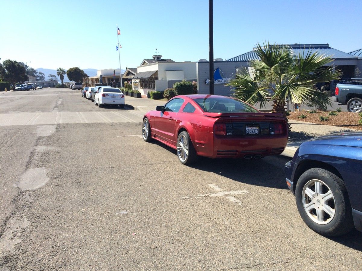 saleen mustang