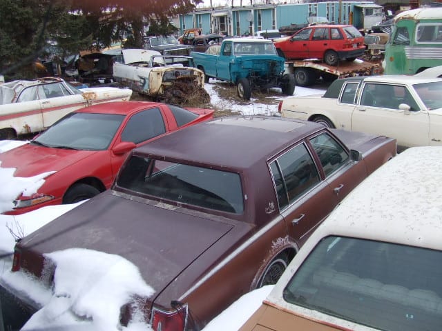 There are a lot of white and silver cars out there nowadays. Those two colors are far and away the most popular choices in the US, and their popularity does [&hellip;]