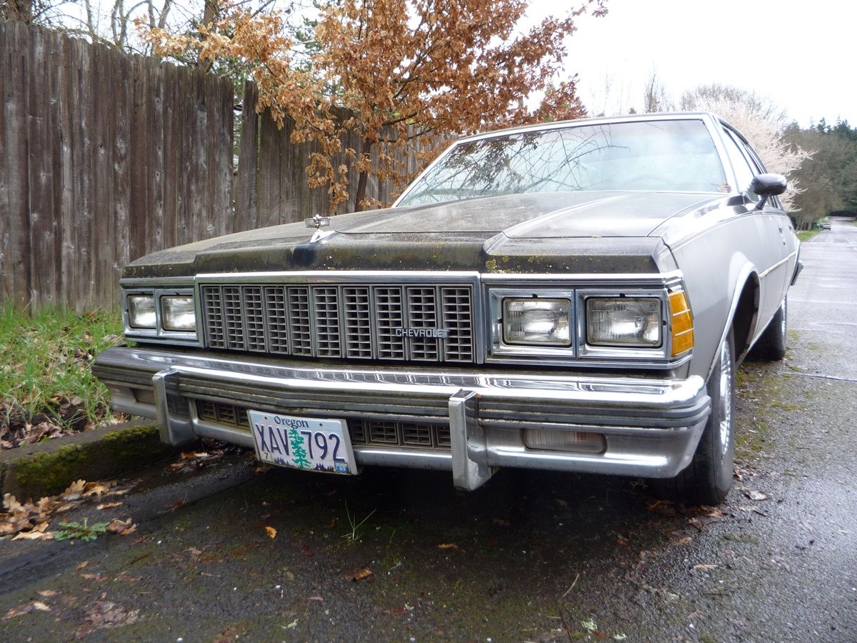 Curbside Classic: 1979 Chevrolet Caprice - GM's Greatest Hit #2 9 CC 13 016 1200