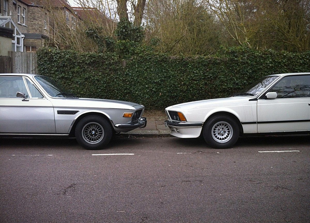 Wordless Cohort Outtake: Kissing Cousins? (submitted by Decampos)