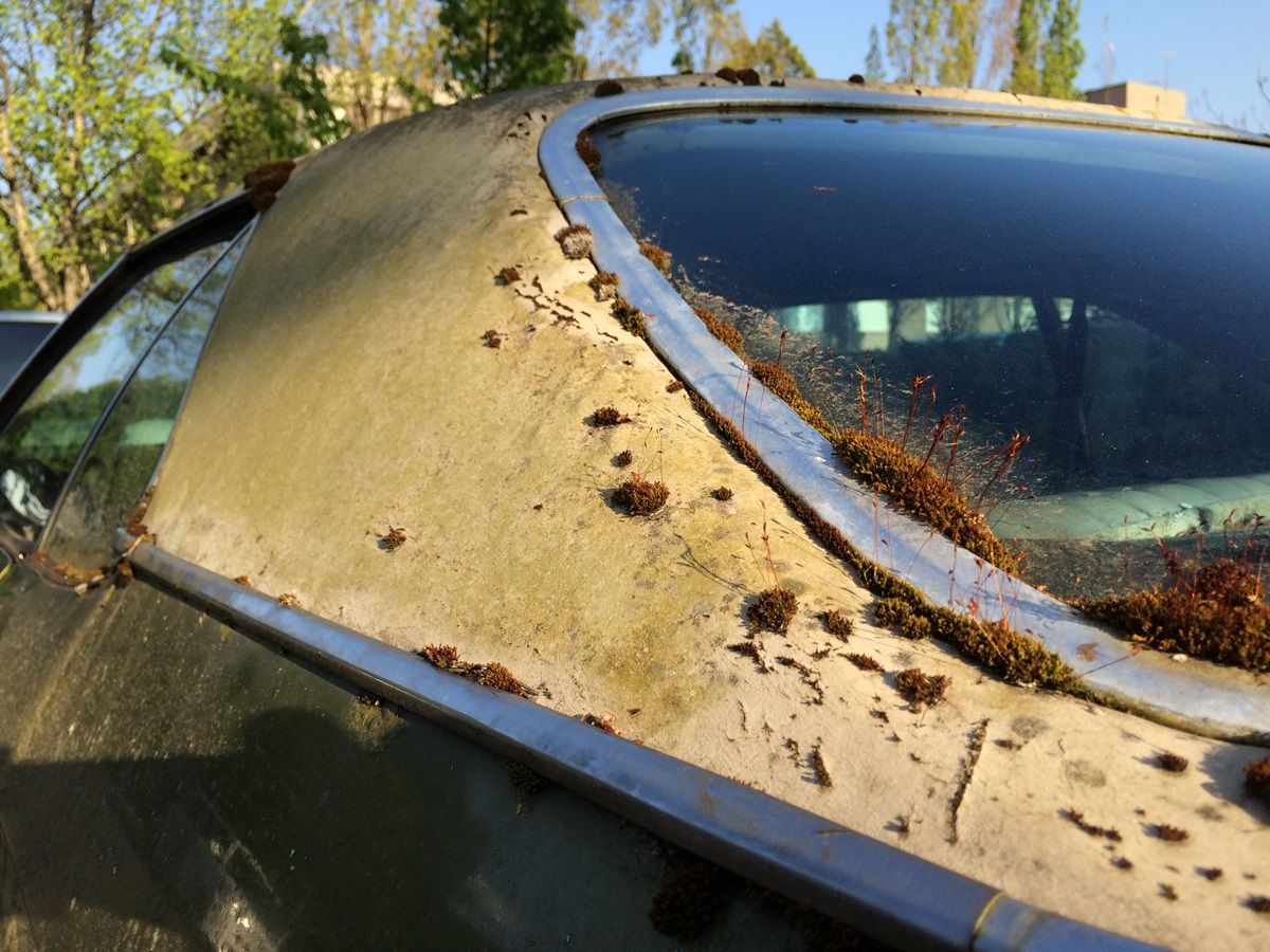 Curbside Outtake: 1973 Buick LeSabre Custom Coupe - Trying To Age Gracefully 6 CC 243 108 1200
