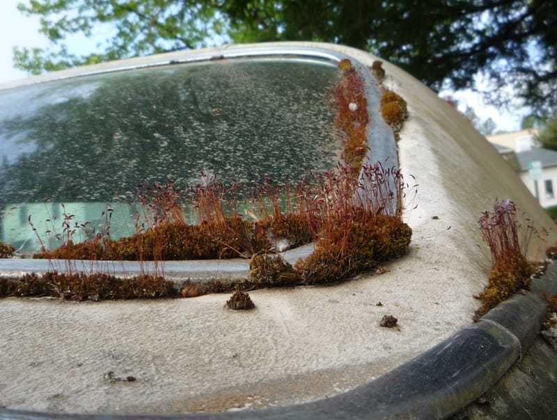 Curbside Outtake: 1973 Buick LeSabre Custom Coupe - Trying To Age Gracefully 7 CC 32 040 800