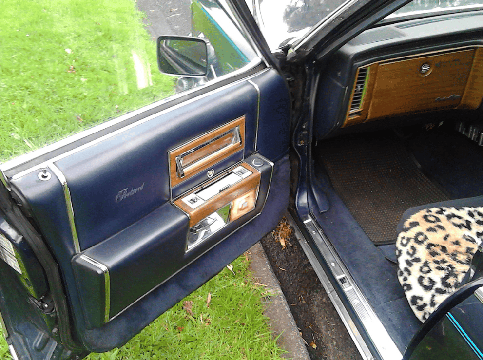 COAL: 1981 Cadillac Fleetwood Brougham D'Elegance - Exceptional