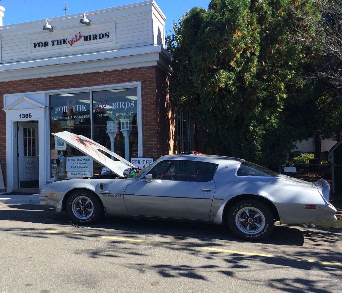 If you find a Pontiac Firebird Trans Am with its “screaming chicken” hood decoration to be so overdone that the sight of one makes you want to vomit, in this [&hellip;]