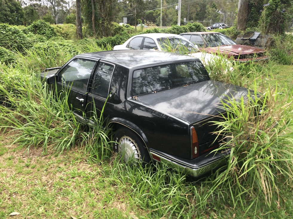 (first posted 11/17/2015)    “You won’t believe what I just saw!” I exclaimed to my father, who never shared my exuberance and passion for all things automotive.   “What was it?” [&hellip;]