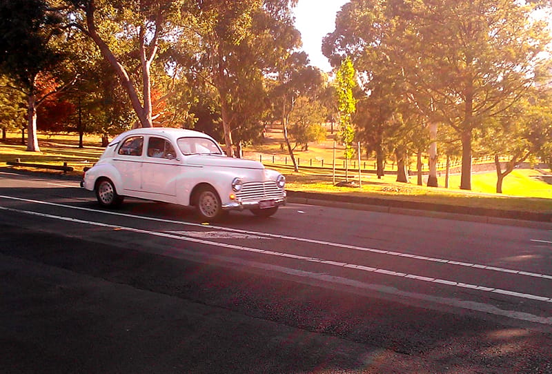As I caught this Peugeot 203 enjoying a pleasurable sun-dappled afternoon cruise, it was not so apparent that this genteel (albeit less-than-nattily-shod) car was also one of Australia’s hardiest. This [&hellip;]
