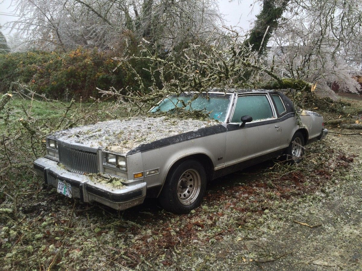 Curbsidelandia was hit by an ice storm last Wednesday, which has sent huge numbers of limbs and trees down, resulting in extensive power outages, which in some case will take [&hellip;]