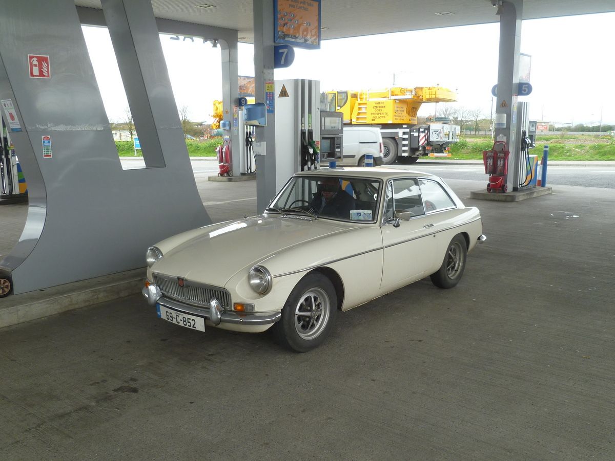 This week our little clan is in the South of Ireland traveling around.  As we were taking a break at a petrol station along the motorway, this little beauty caught [&hellip;]