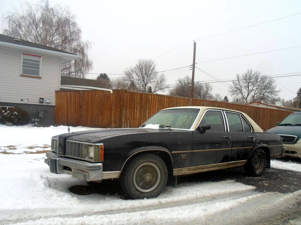 Photo courtesy of nifty43 (first posted 3/21/2017)    In Spanish, “Ventura” means fortune. Pontiac must have felt they were suffering from a spate of mala ventura in the 1970s, their electrified image [&hellip;]
