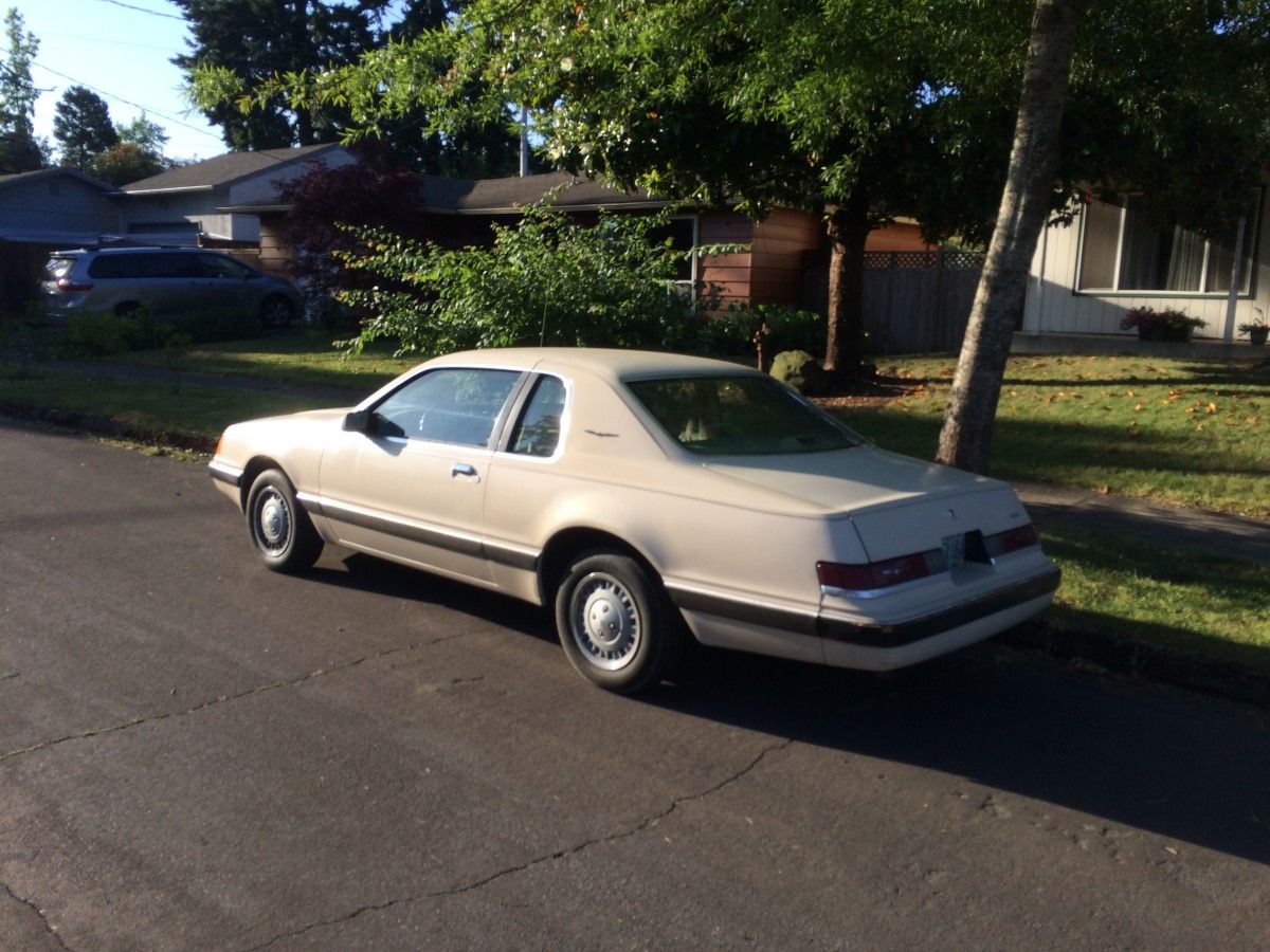 Curbside Find: 1986 Thunderbird - Nearly Extinct Aerobird 4 CC 331 005