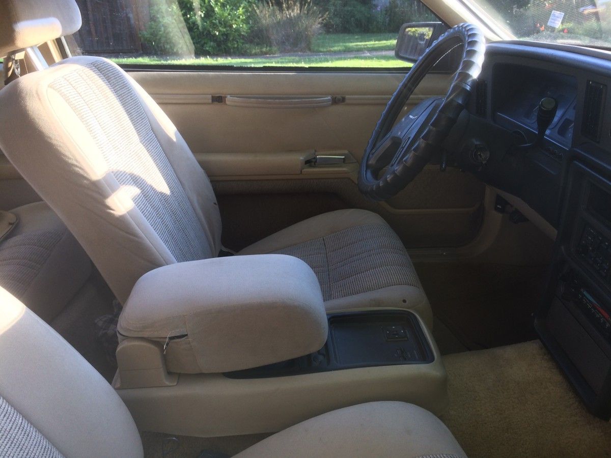 Curbside Find: 1986 Thunderbird - Nearly Extinct Aerobird 3 CC 331 008