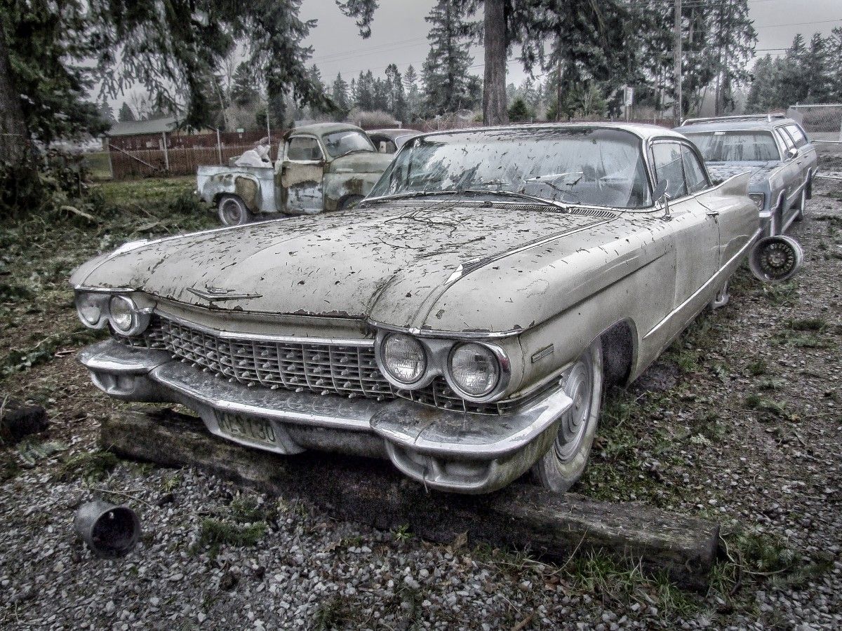 Shot in Yelm, WA,  January 25, 2012