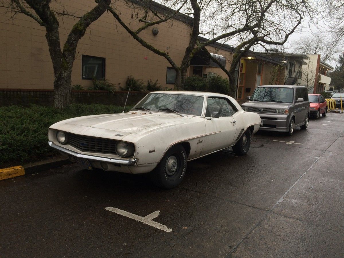Given that this is one of my favorite CCs in Eugene, I feel entitled to update you all on its continued good health and daily activities. I first wrote it [&hellip;]