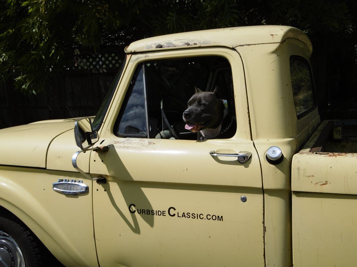 JP Cavanaugh described the 1968 Chrysler Newport he drove for several years in the 1990s as his fountain of youth, a car from his childhood that he got to relive [&hellip;]