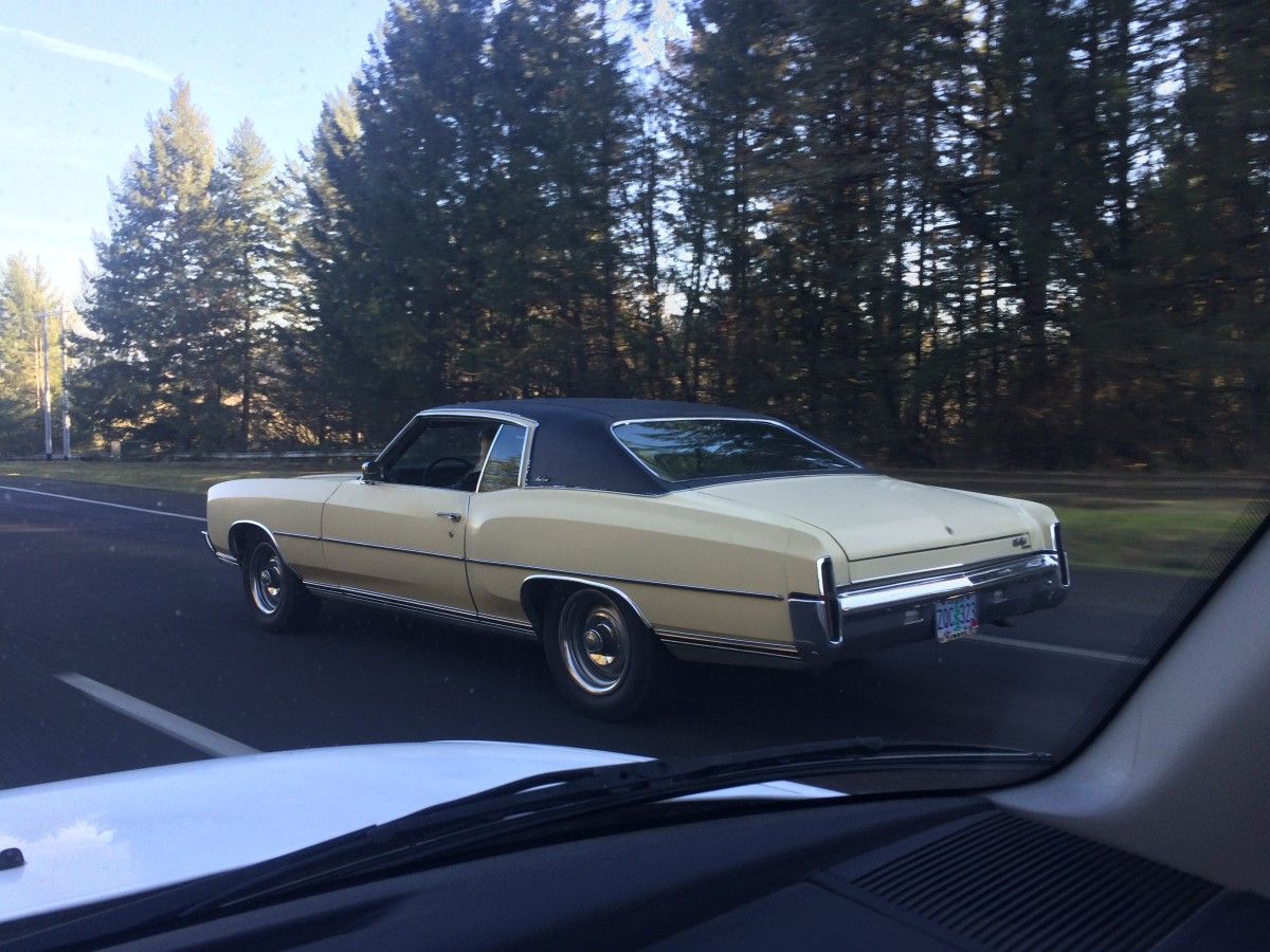 It was a beautiful sunny January day and I was headed out for a hike when I spotted this Monte on the go. I thought it might be the same [&hellip;]